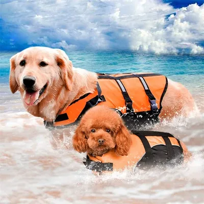 IntiMeg Rettungsweste für Hunde – Hoher Auftrieb IntiMeg Rettungsweste für Hunde – Hoher Auftrieb