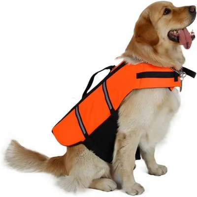 IntiMeg Rettungsweste für Hunde – Hoher Auftrieb IntiMeg Rettungsweste für Hunde – Hoher Auftrieb