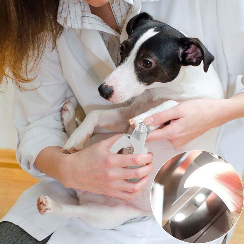 Petopia Coupe - griffes avec LED pour chien et chat