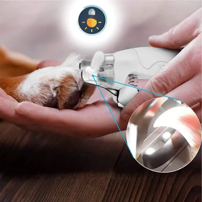 Petopia Coupe - griffes avec LED pour chien et chat