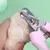 ZenPets Coupe - ongles pour animaux de compagnie