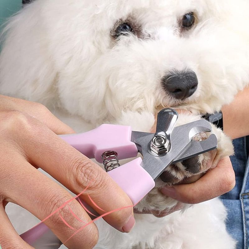 ZenPets Coupe - ongles pour animaux de compagnie