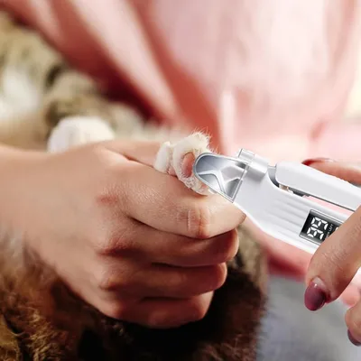 Petopia Trimmer des ongles pour chien