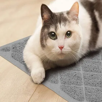 FurryFusion Tapis de litière pour chat en PVC 40 x 60 cm