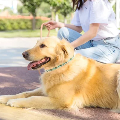 IntiMeg Collier anti-puces avec huile essentielle végétale