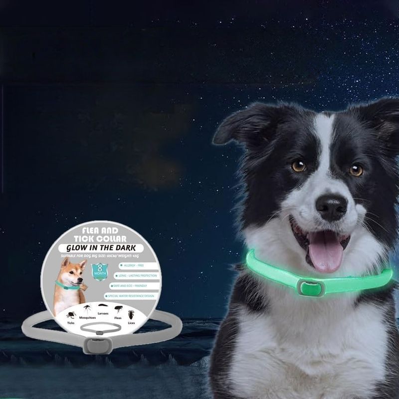 Petopia Collier anti-puces pour chien
