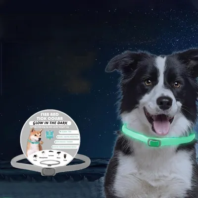 Petopia Collier anti-puces pour chien