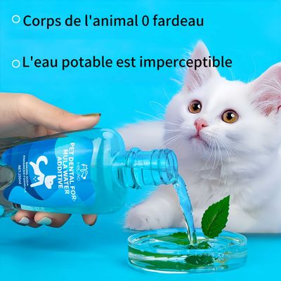 FurryFusion Lotion de bouche pour animaux de compagnie 250ml