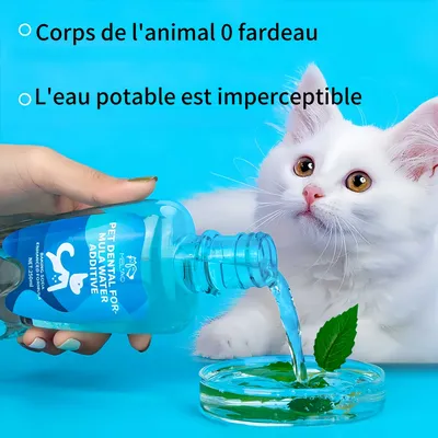 FurryFusion Lotion de bouche pour animaux de compagnie 250ml