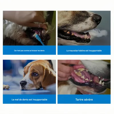 FurryFusion Lotion de bouche pour animaux de compagnie 250ml