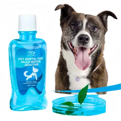 FurryFusion Loción bucal para mascotas 250 ml
