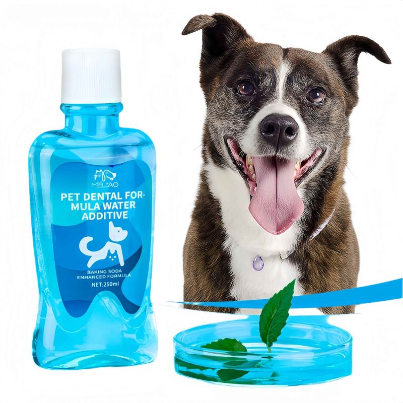 FurryFusion Lotion de bouche pour animaux de compagnie 250ml