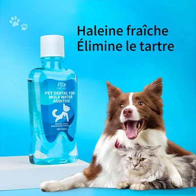 FurryFusion Lotion de bouche pour animaux de compagnie 250ml