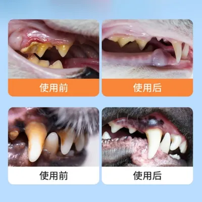 FurryFusion Eau de nettoyage buccal pour animaux de compagnie 200ml