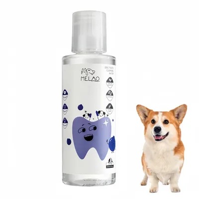 FurryFusion Eau de nettoyage buccal pour animaux de compagnie 200ml