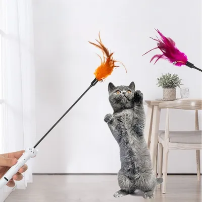 ZenPets Jouet de chasse pour chat