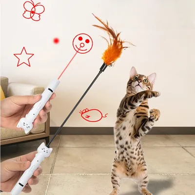 ZenPets Jouet de chasse pour chat