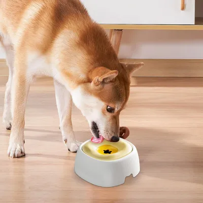 Petopia Bac à eau pour chien sans filtre