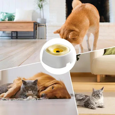 Petopia Bac à eau pour chien sans filtre