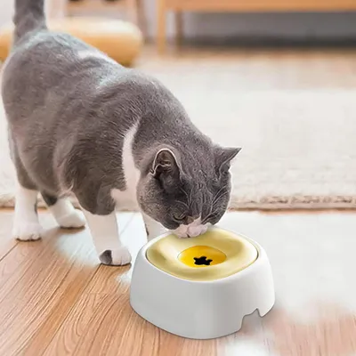 Petopia Bac à eau pour chien sans filtre