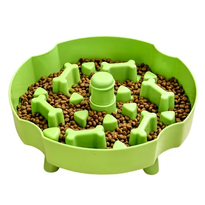FurryFusion Gamelle anti - glouton pour chien et chat en forme de fleur