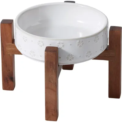 UAMLY Cuenco de cerámica elevado para gatos y perros