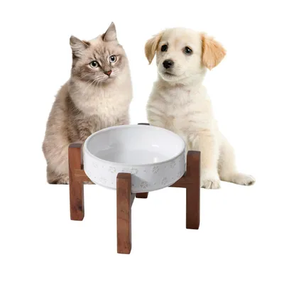 UAMLY Cuenco de cerámica elevado para gatos y perros