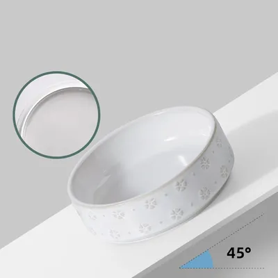 UAMLY Gamelle surélevée en céramique pour chat et chien