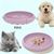 Petopia Gamelle Slow Food pour chien