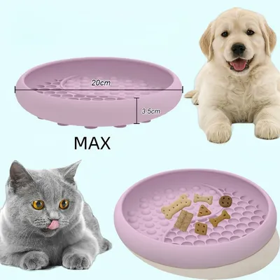 Petopia Gamelle Slow Food pour chien