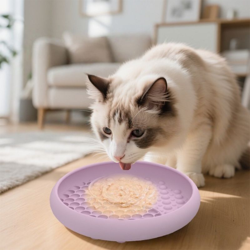 Petopia Gamelle Slow Food pour chien