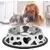 UAMLY Gamelle en acier inoxydable pour chat et chien