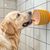 UAMLY Bol à lécher pour chien avec ventouse