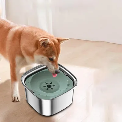 UAMLY Gamelle pour chien en acier inoxydable