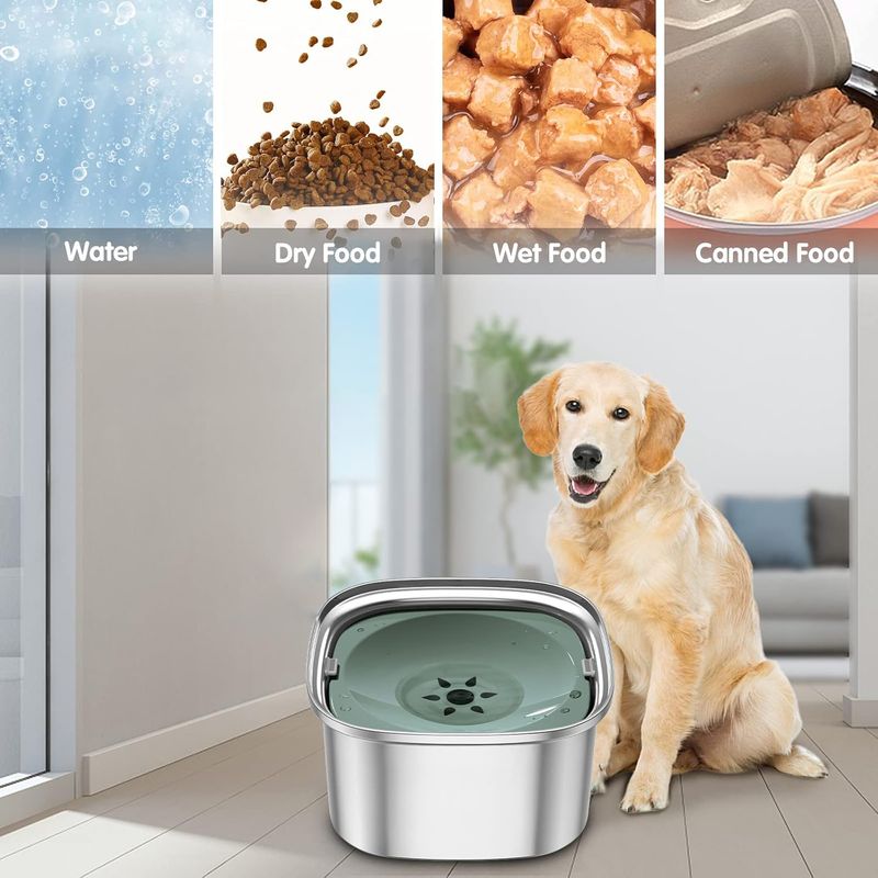UAMLY Gamelle pour chien en acier inoxydable