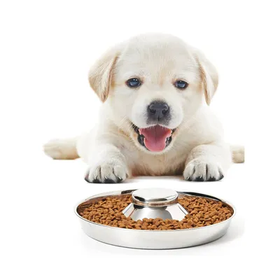 UAMLY Gamelle pour chien à alimentation lente en acier inoxydable