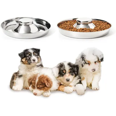 UAMLY Gamelle pour chien à alimentation lente en acier inoxydable