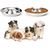 UAMLY Gamelle pour chien à alimentation lente en acier inoxydable