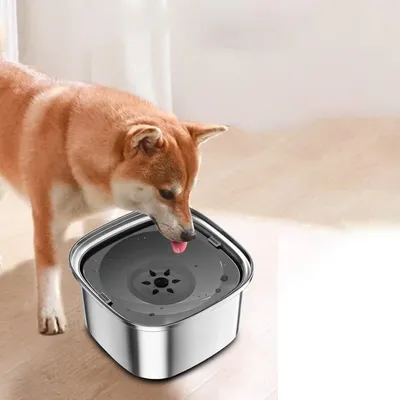 UAMLY Gamelle pour chien en acier inoxydable