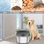 UAMLY Gamelle pour chien en acier inoxydable