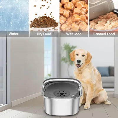 UAMLY Gamelle pour chien en acier inoxydable