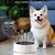 Petopia Gamelle à eau avec filtre pour chien et chat