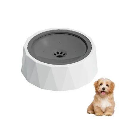Petopia Gamelle à eau avec filtre pour chien et chat