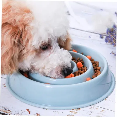 Petopia Comedero antivuelco para perros y gatos