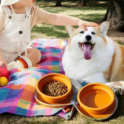 Petopia cuenco de viaje para perros