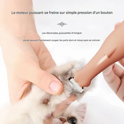 FurryFusion Rasoir pour les pattes de chien et de chat