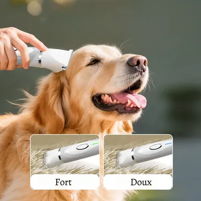 ZenPets Tondeuse pour animaux de compagnie
