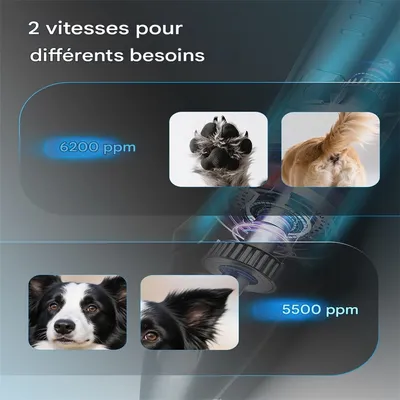 Petopia Rasoir pour poils des pattes d'animaux de compagnie