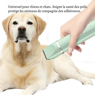 Petopia Tondeuse électrique pour animaux de compagnie