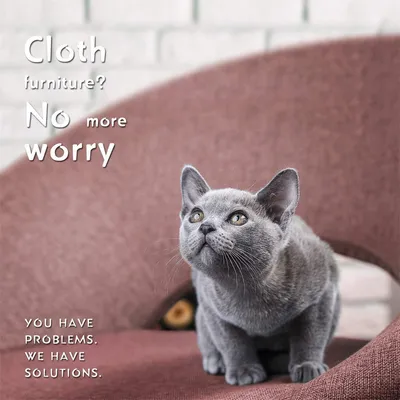 IntiMeg Ciseaux - griffes pour chat et petits animaux